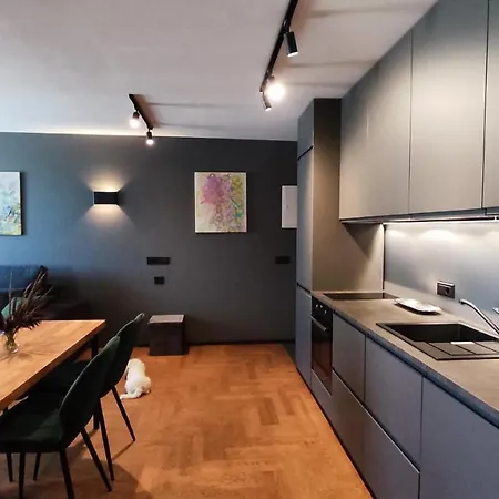 Dabintos Apartament Druskieniki