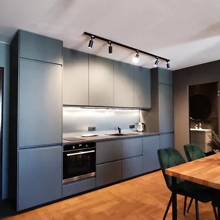 Dabintos Apartament Druskieniki