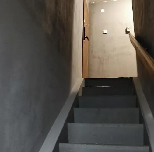 Dabintos Druskininkai